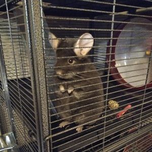 Meet your Posher, Elisa